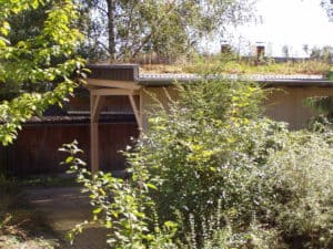 Carport mit Gründach