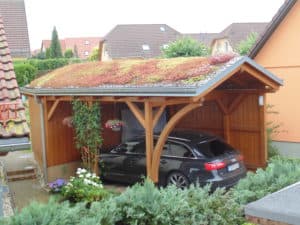 Carport mit Gründach